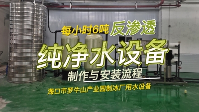 每小时6吨反渗透纯净水设备制作与安装流程，海南制冰厂用水设备